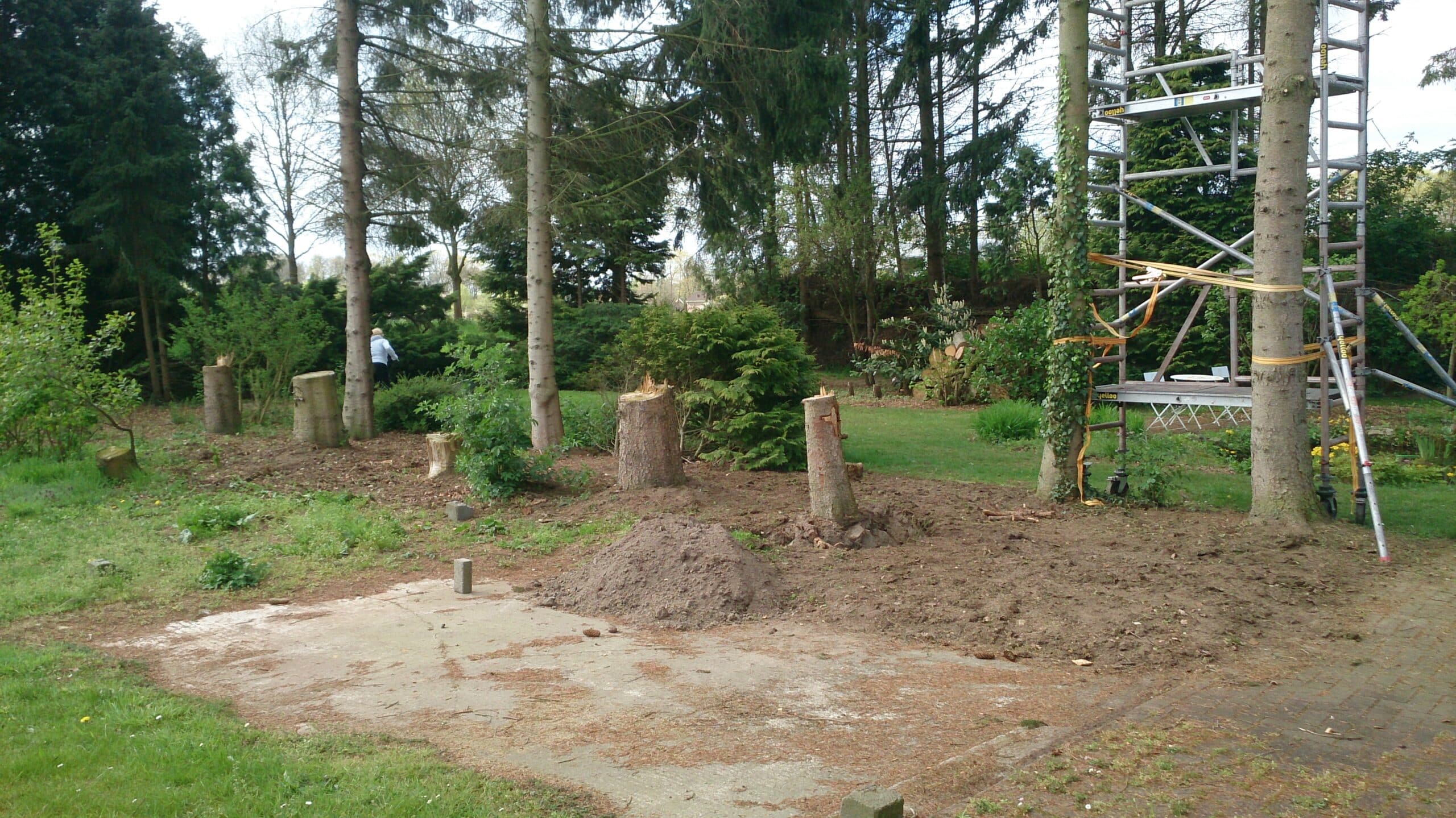 Zoals bouwlocatie eerst was. Een aantal bomen en wortelstronken zijn al weg. Oude betonplaat waarop