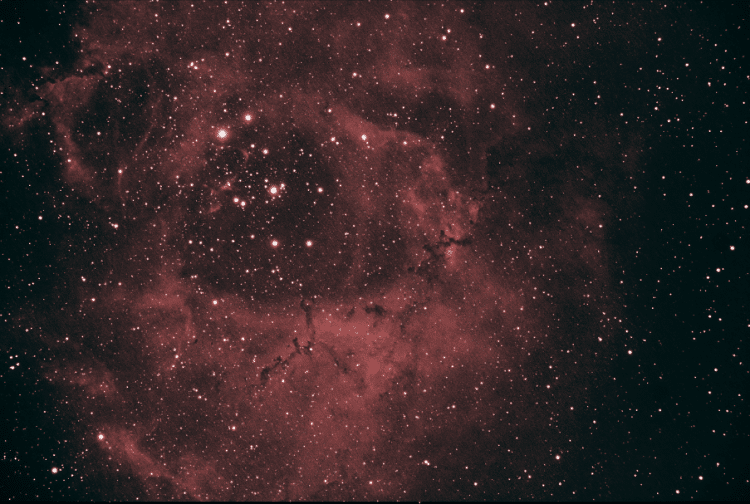 Dit is nu echt mijn laatste Rosettanevel 18-2-2015 ca 20,30-21,50 uur t=4 min 15 frames ISO 1600 60