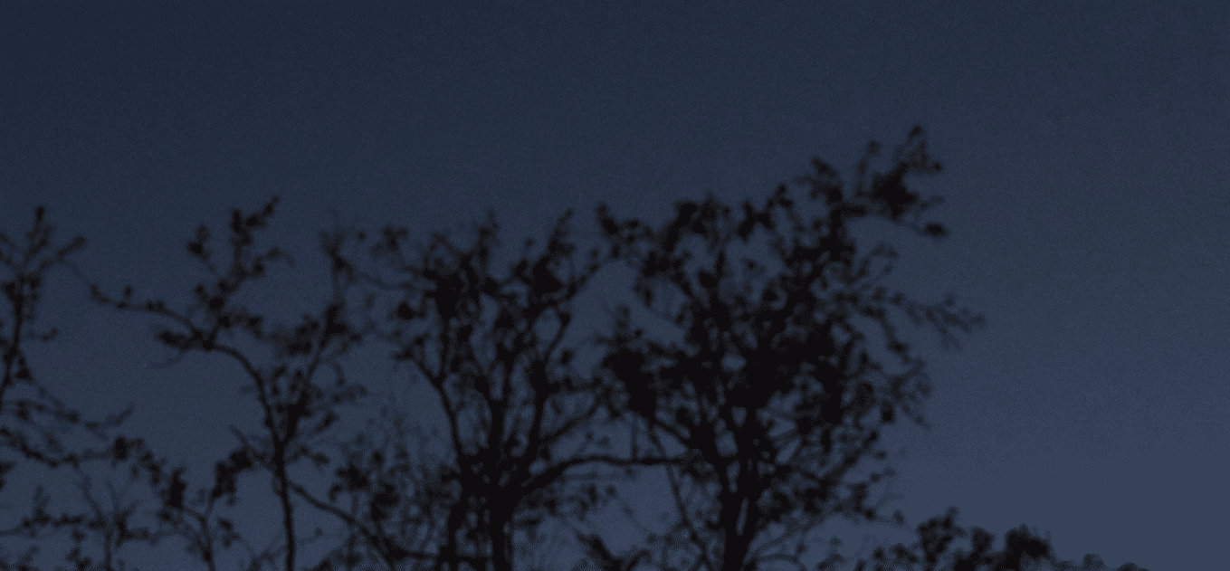 Mercurius vanavond (5/5) om ca 22,30 uur. Niet spectaculair maar gewoon te zien. T=0,5 sec ISO 1600
