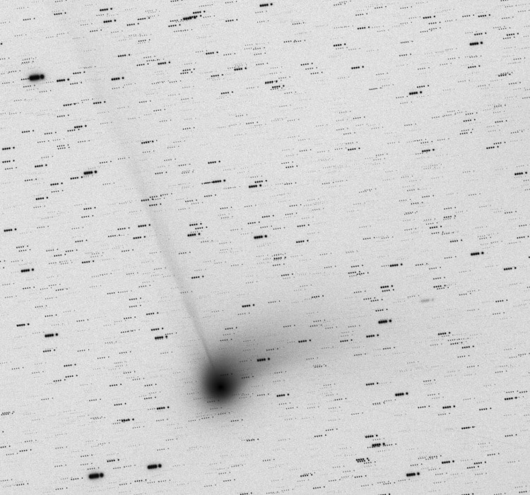 C/2013 US10 Catalina 16 jan 01:00. 5 x 240 seconden iso1600 met Esprit 100+Canon 6Da. Vannacht was h