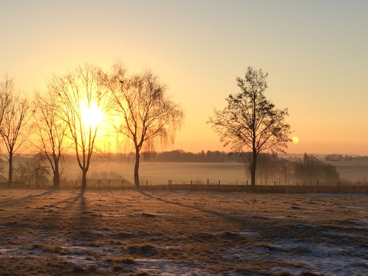 kon het niet laten om vandaag deze foto te maken van de ochtendzon image