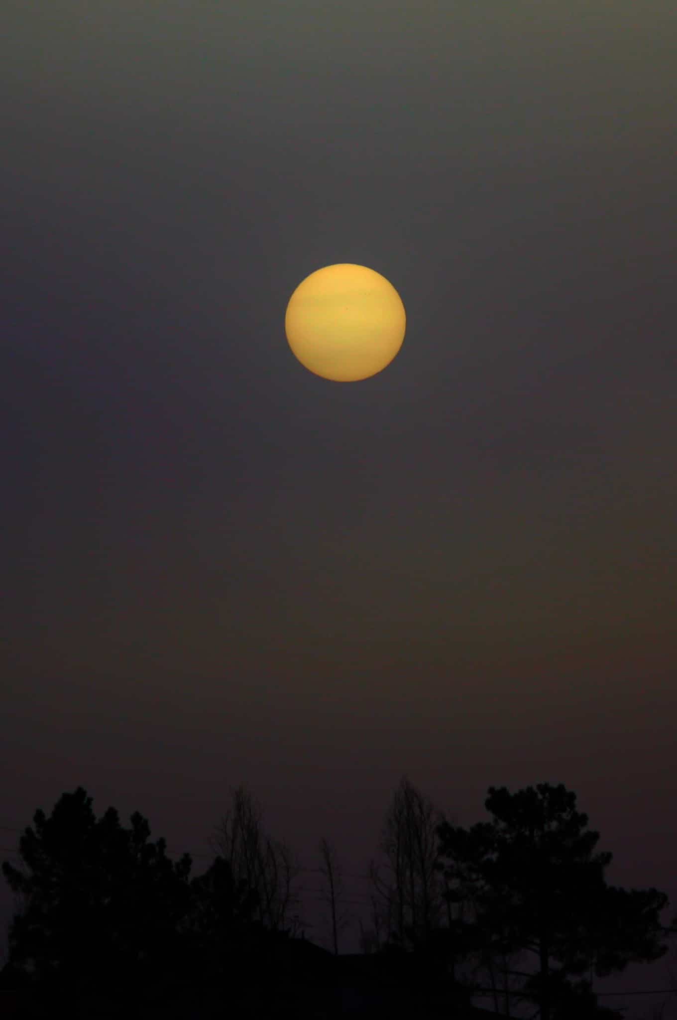 Zonsopkomst vanmorgen met een nevellaag. Zo vaag dat ik de 200 mm lens er prima op kon richten. En b