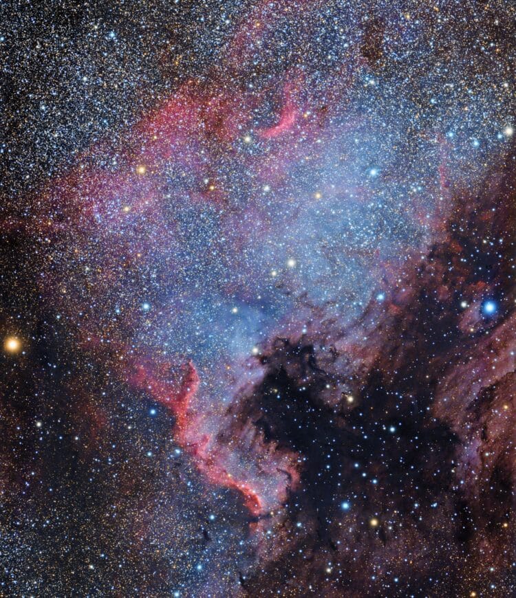Dit is “bijvangst” van een paar opnamesessies. NGC7000 stond mooi hoog aan de hemel aan 