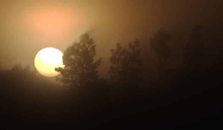 Een sfeerplaatje tussendoor, de mistige zonsopkomst van deze morgen. (Starry day, Misty Sunrise)mist