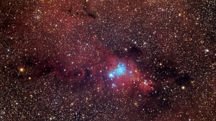 Oftewel Cone nebula, Christmas tree Cluster, Fox Fur etc. Uit een aantal bewerkingen/uitsnedes uitei