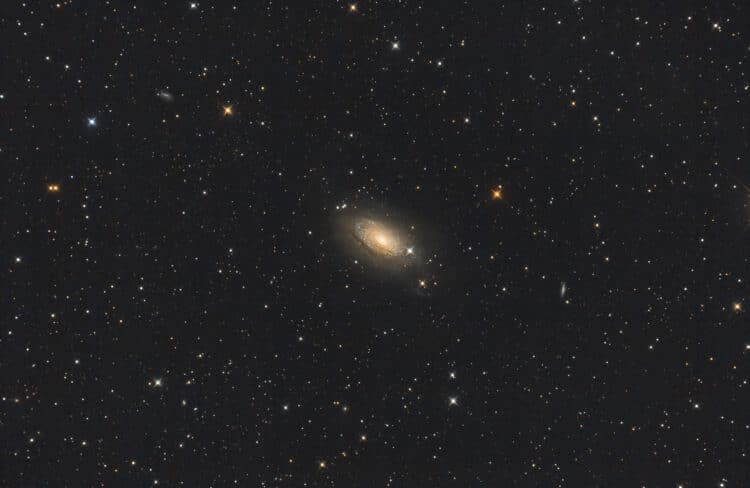 Omringd door de visuele kanonnen van een aantal zeer gedreven visuele waarnemers heb ik tijdens het