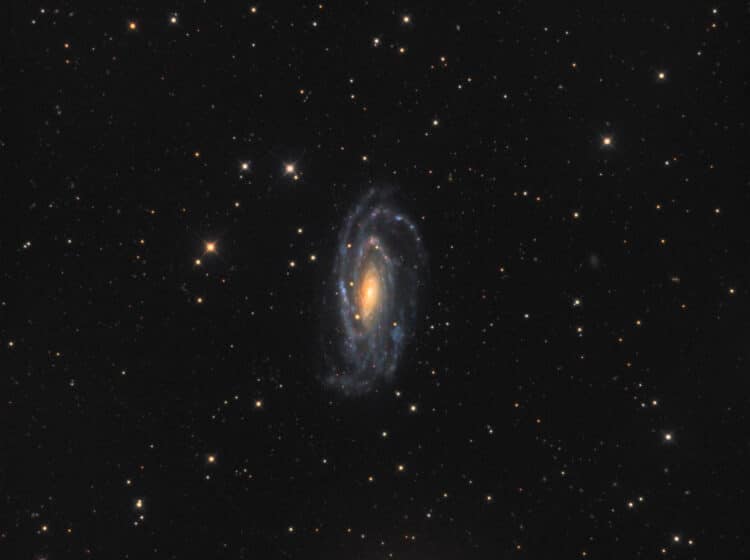 ODK 10 inch, Mesu 200, QSI 683. L(40x15min)RGB(16x15min/channel)NGC5033v2