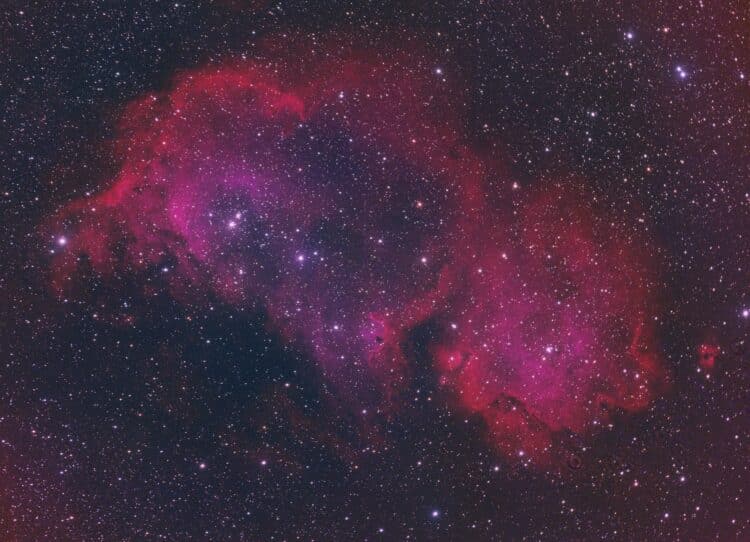 Hier de eerste plaat uit de serie opnames uit Tourtoirac in de Perigord (FR) van de Zielnevel (IC184