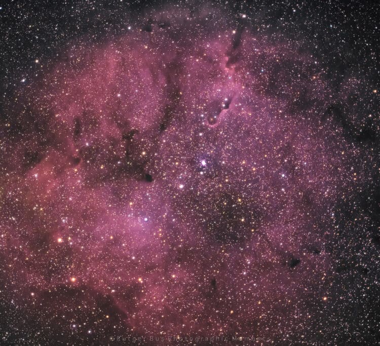 Yesterday I decided to shoot the Elephants Trunk region with the William Optics GT71 and 0.8x Flatne