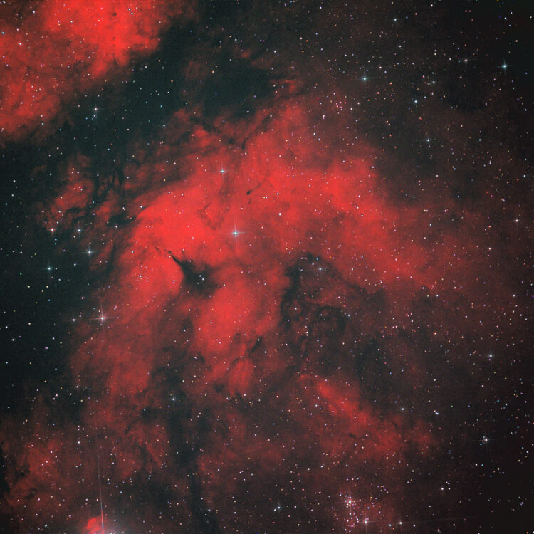 De opname was ik vergeten.Untitled1262 IC 1318 b BS 250 F 2,8 ST 4000 XCM Optolong L Extreme TC 237