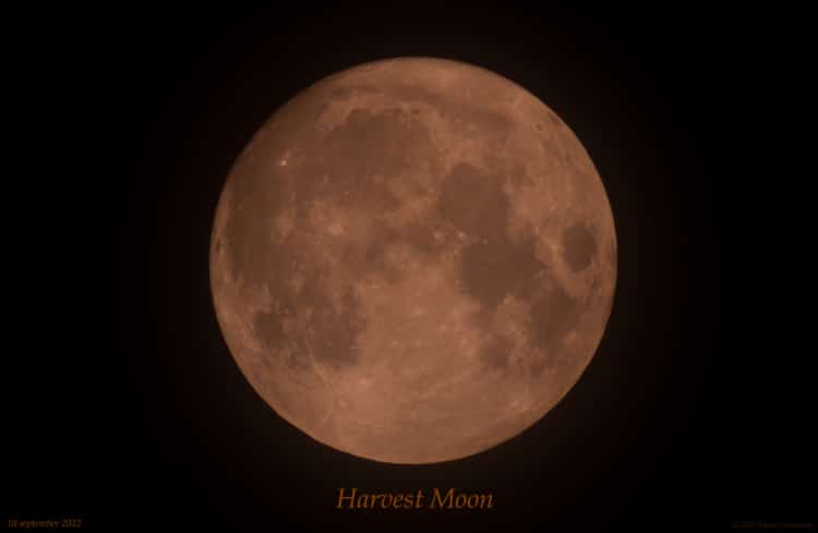 -HARVEST MOON- 11 september 2022 “come a little bit closer hear what I have to say just like child