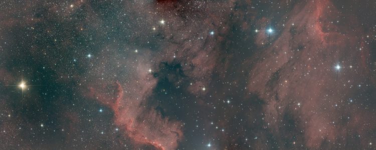 Een 2 panelen mozaïek van de NGC7000-IC5070, aka Noord-Amerika en Pelikaan. Panelen zijn 6 uur (72x