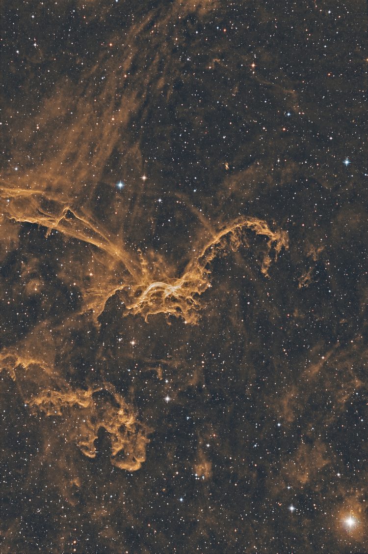 Ik heb hem nog eens door PixInsight gehaald. Dit is de wat anders ingekleurde en ongecropte versie. 