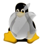 Profile picture of skysurfer